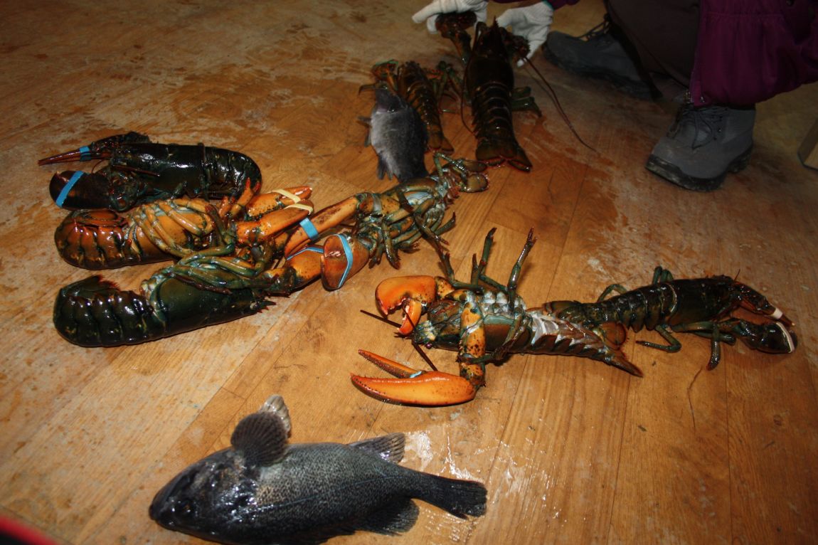 12��25�� 020.JPG