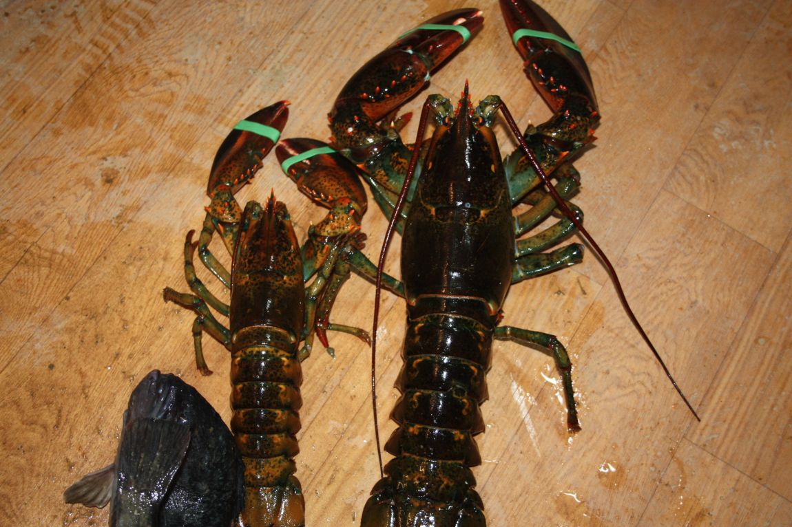 12��25�� 021.JPG