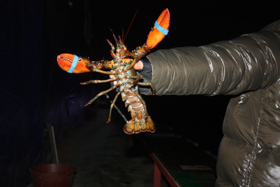 12��25�� 022.JPG