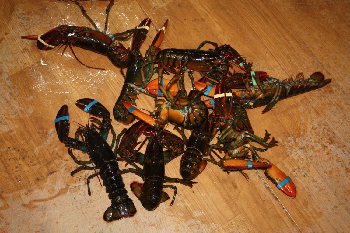 12��25�� 024.JPG