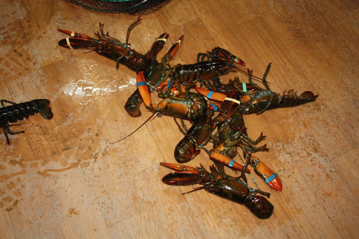 12��25�� 023.JPG