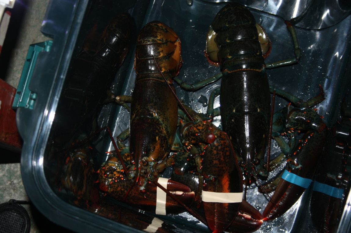 12��25�� 030.JPG