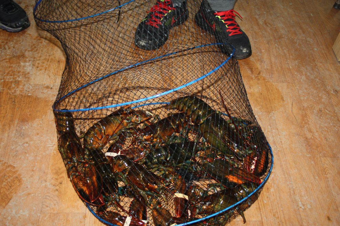 12��25�� 044.JPG