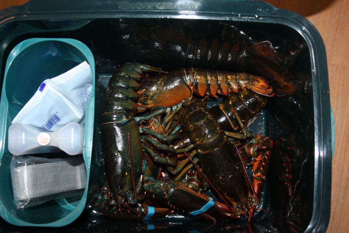 12��25�� 048.JPG