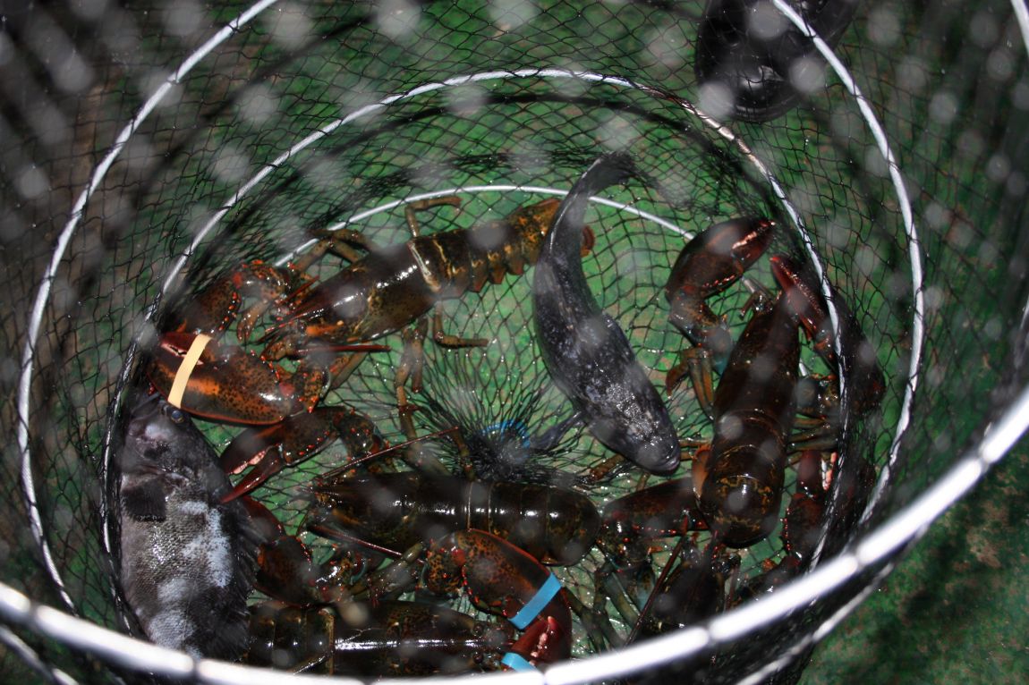 12��25�� 053.JPG