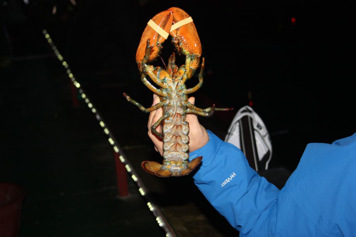 12��25�� 057.JPG