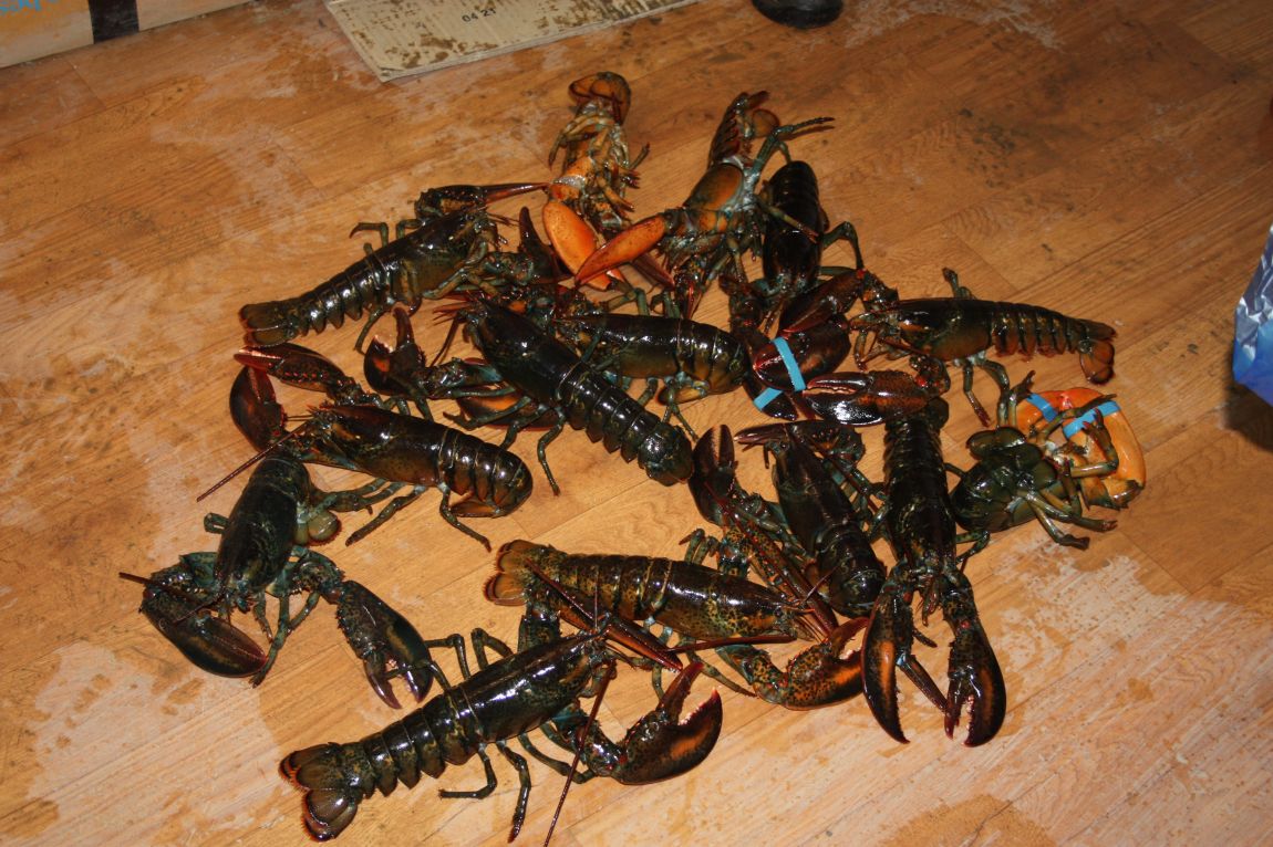 12��25�� 062.JPG