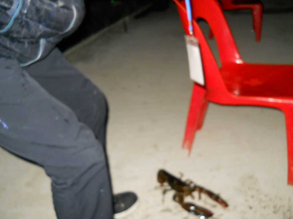 DSCN0577.JPG