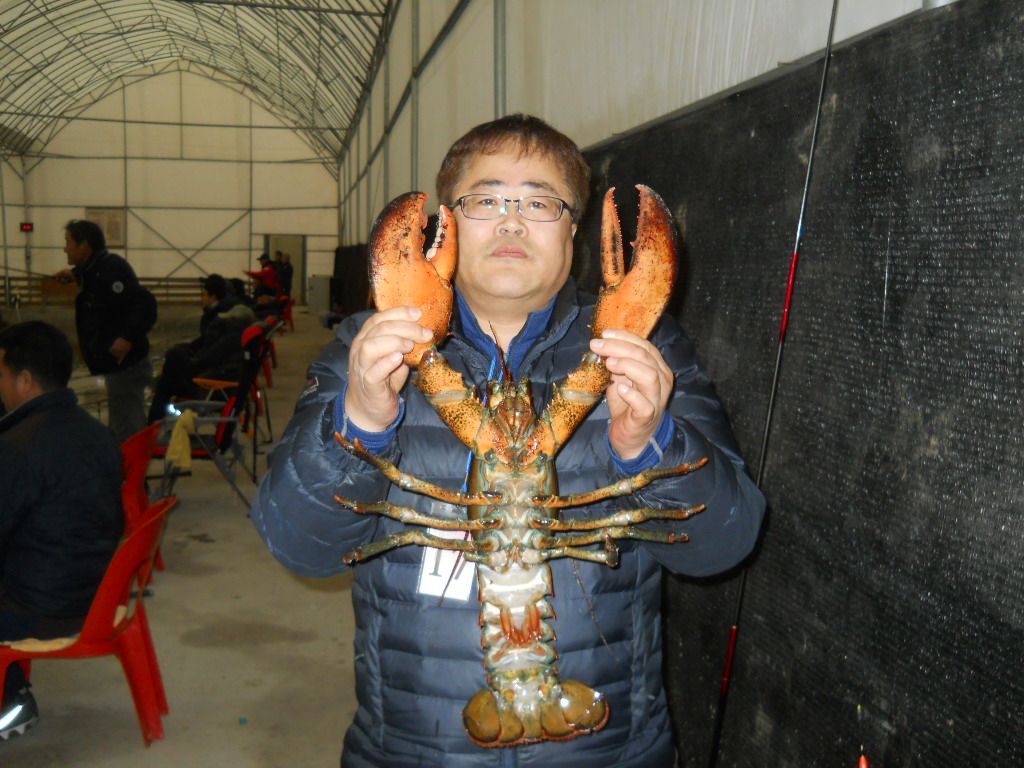 DSCN0582.JPG