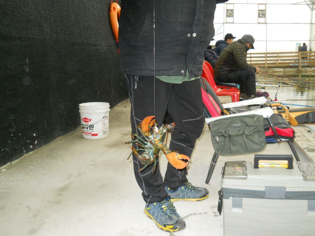 DSCN0589.JPG