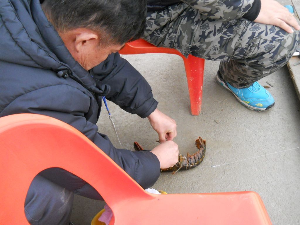 DSCN0594.JPG