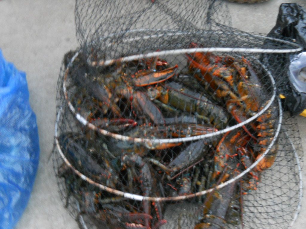 DSCN0613.JPG