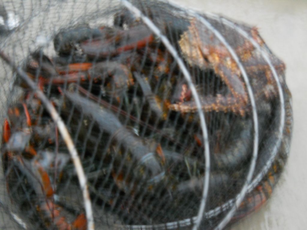 DSCN0614.JPG
