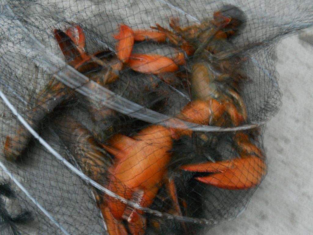 DSCN0617.JPG