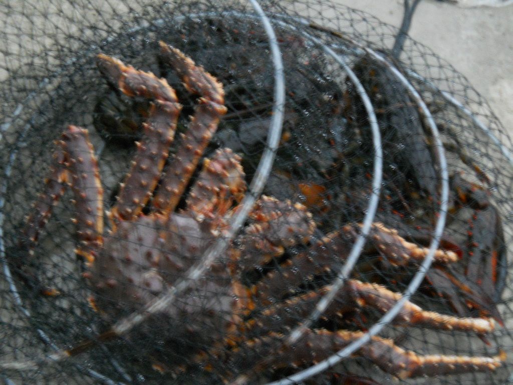 DSCN0618.JPG