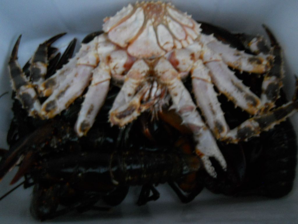 DSCN0619.JPG