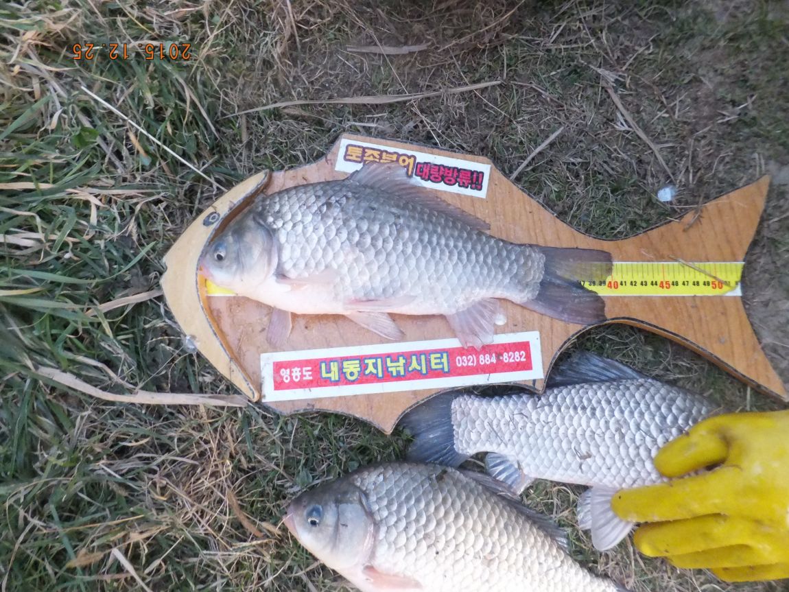 201300703 017.jpg