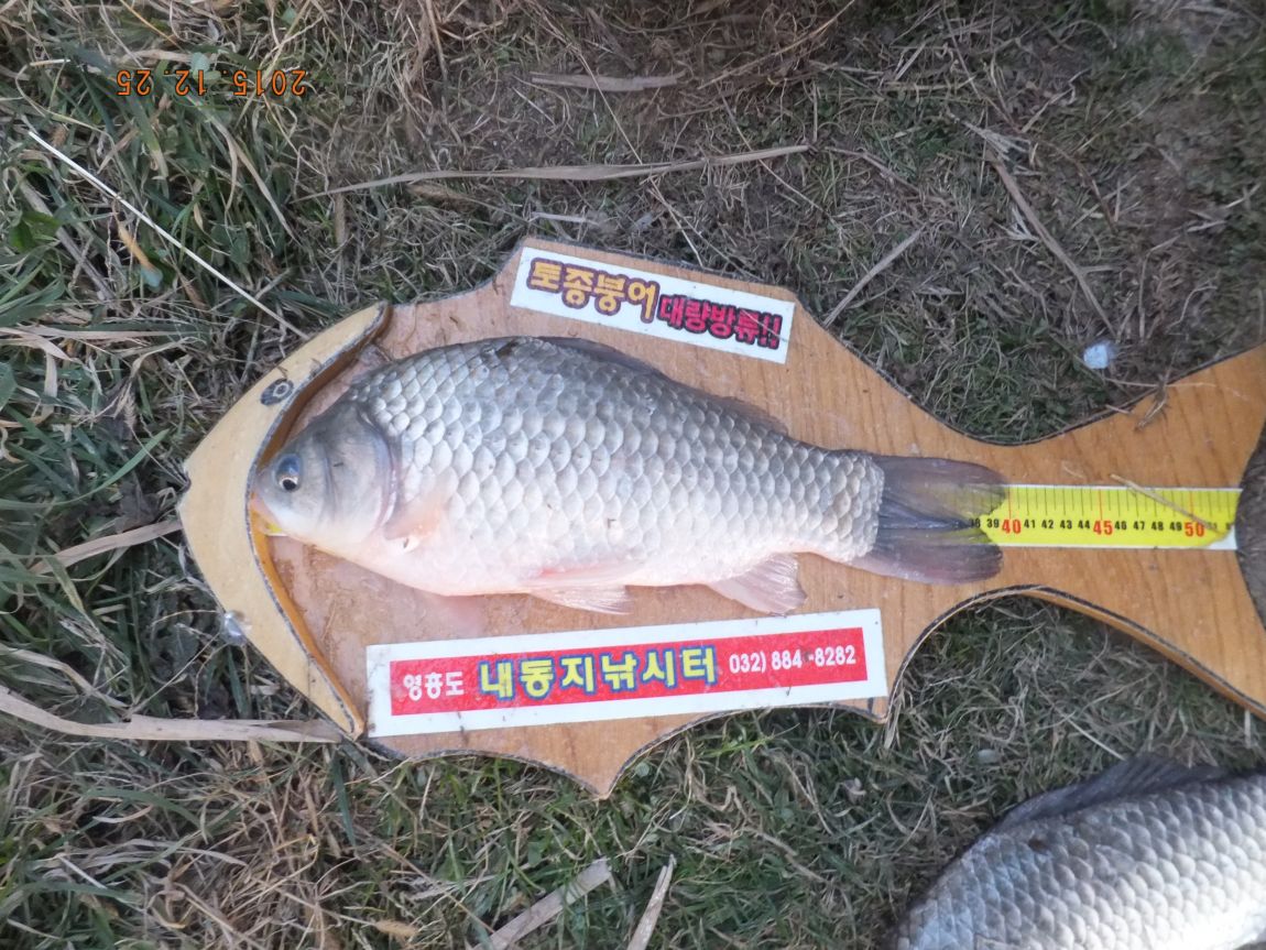 201300703 016.jpg