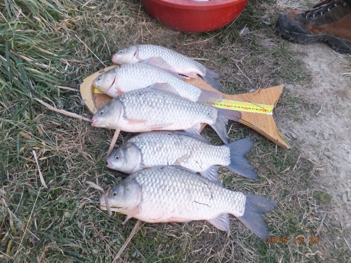 201300703 018.jpg