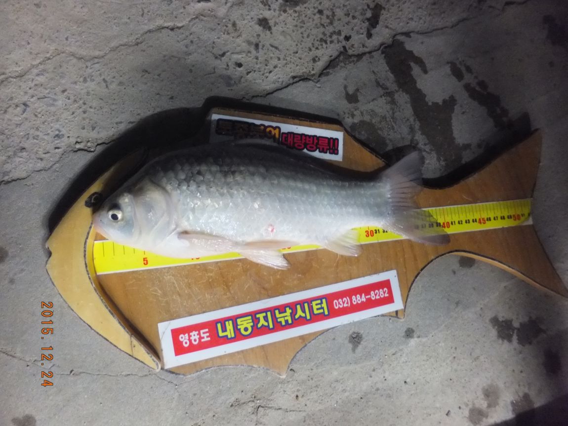 201300703 001.jpg