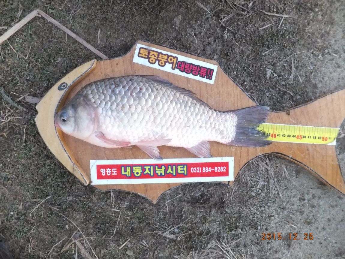 201300703 006.jpg