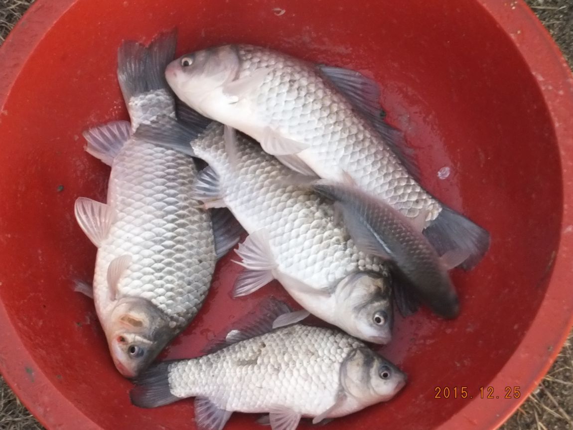 201300703 008.jpg