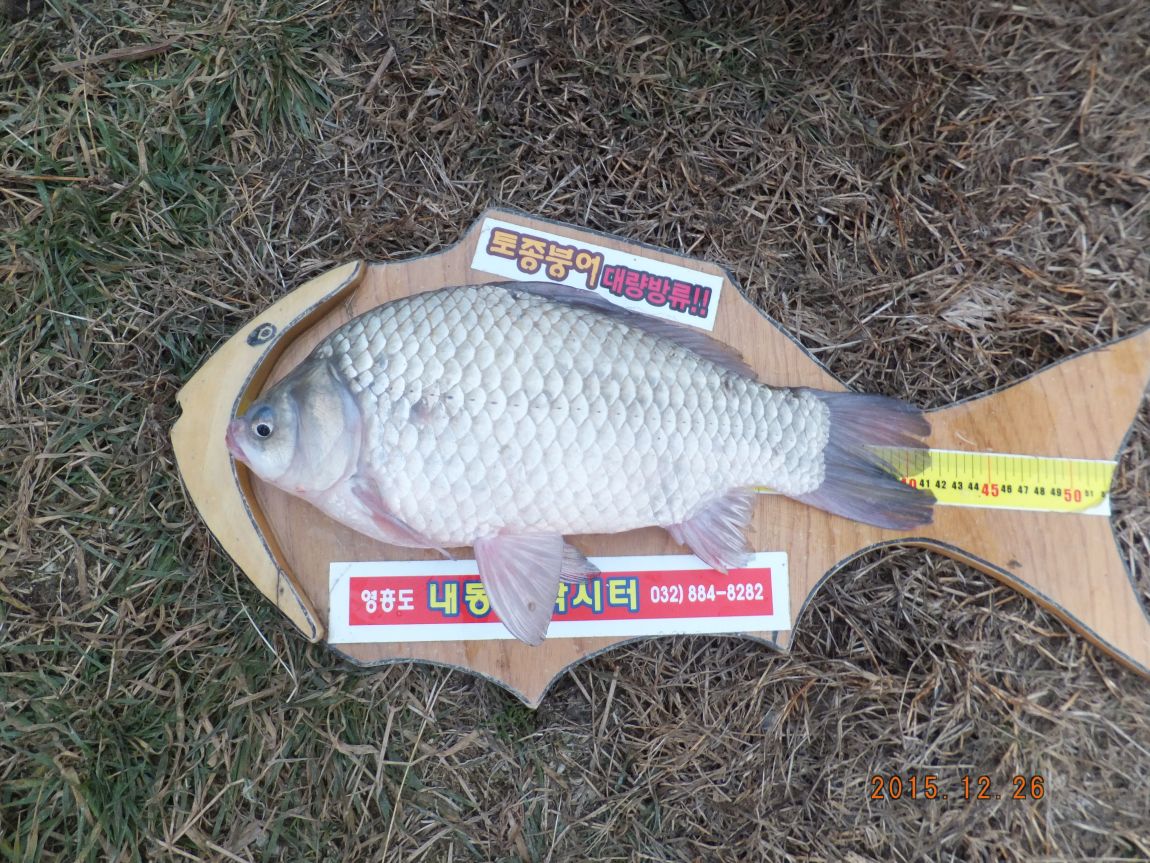 201300703 121.jpg