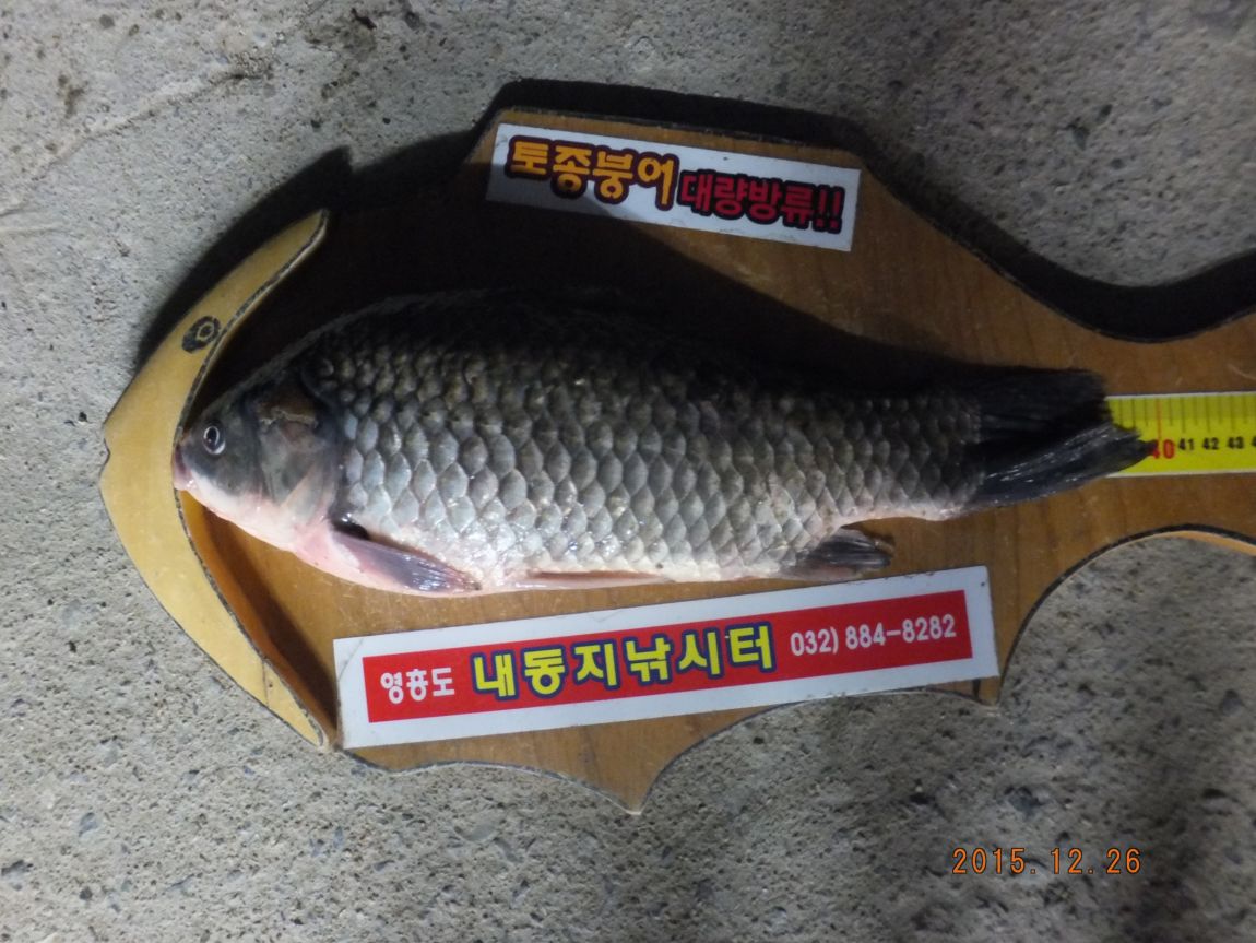 201300703 129.jpg