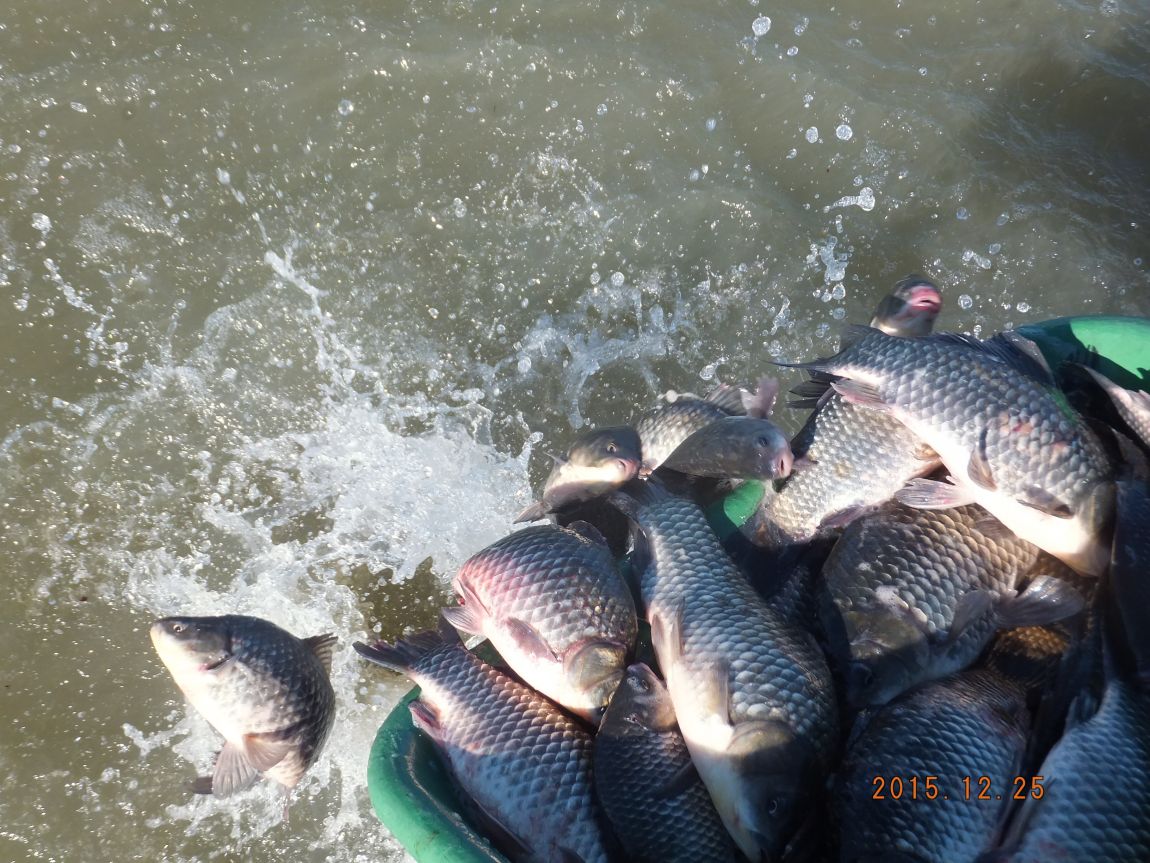 201300703 059.jpg