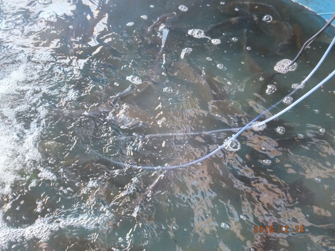 201300703 023.jpg