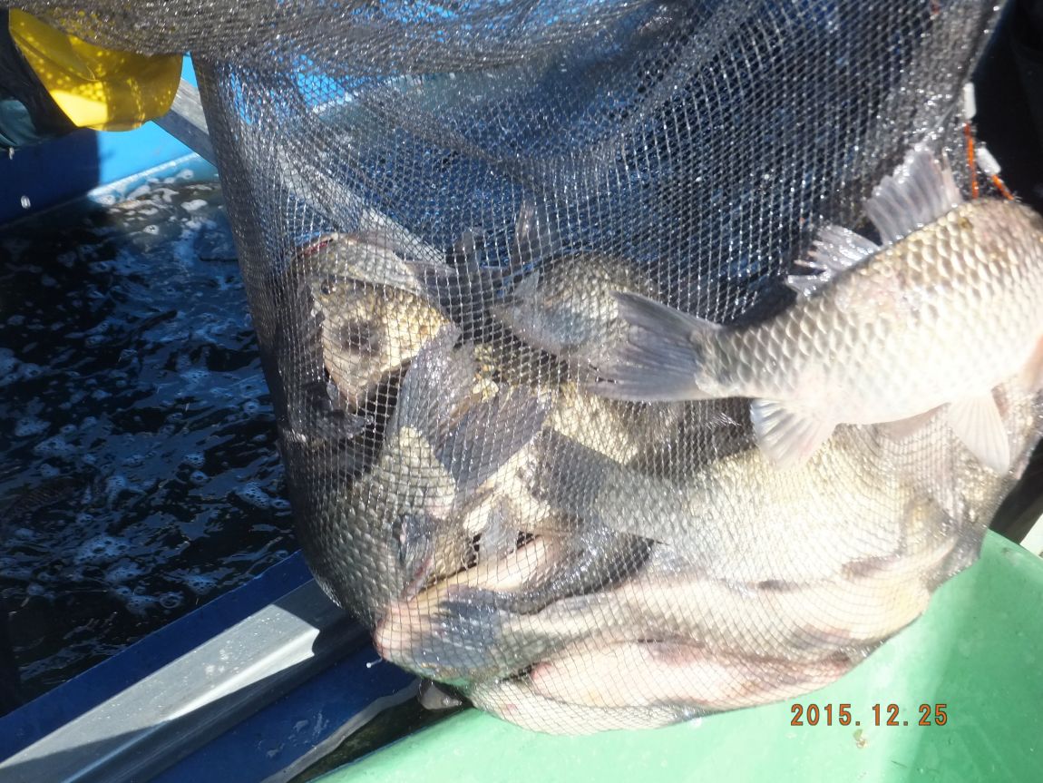201300703 045.jpg