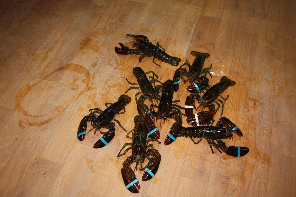 1228 011.JPG