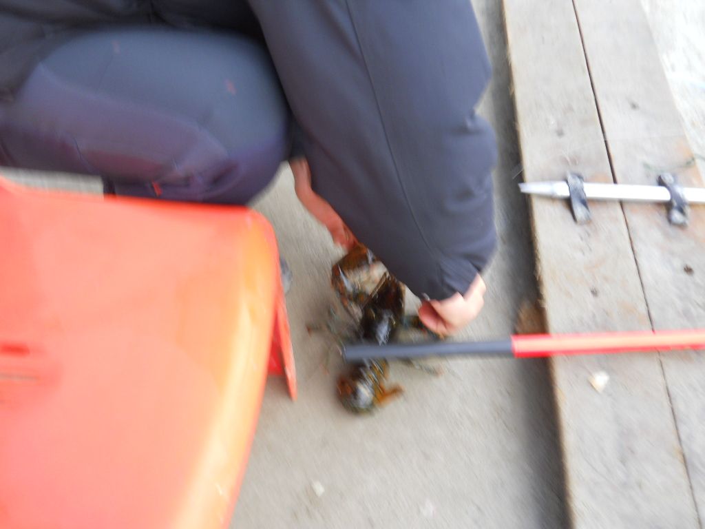DSCN0708.JPG