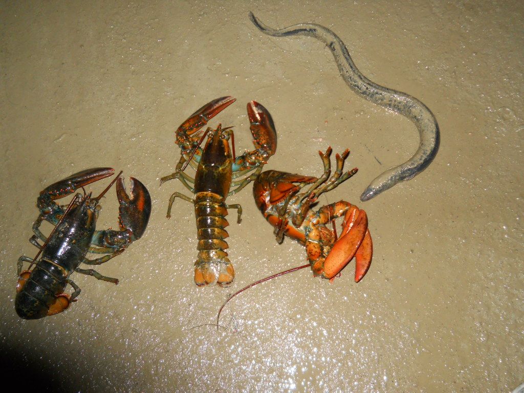 DSCN0720.JPG