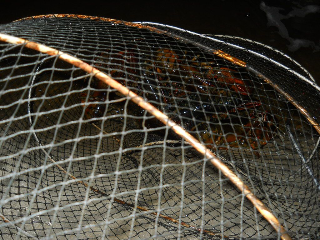DSCN0723.JPG
