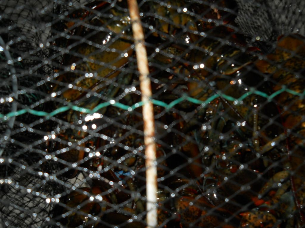 DSCN0728.JPG