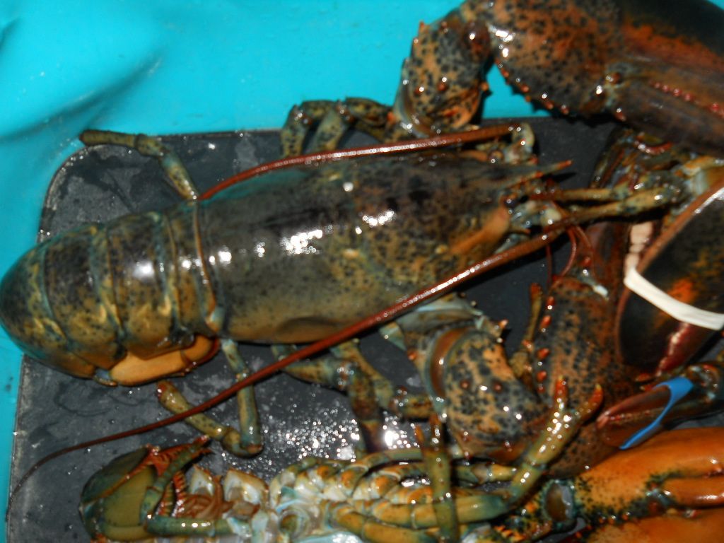DSCN0727.JPG
