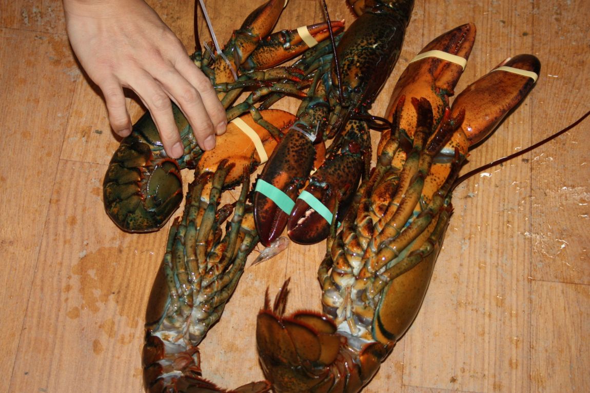 12��29�� 004.JPG