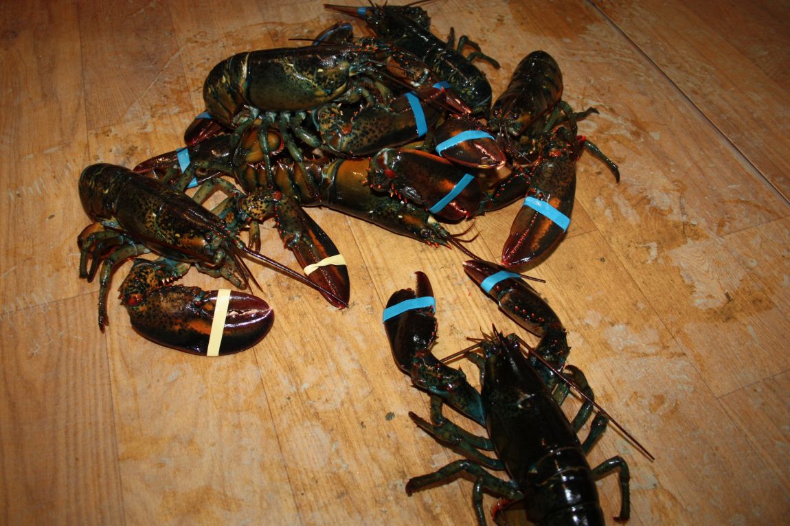 12��29�� 013.JPG