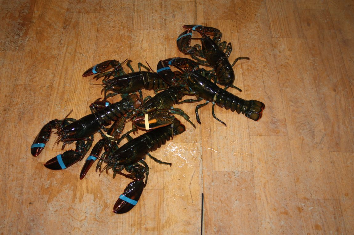 12��29�� 015.JPG