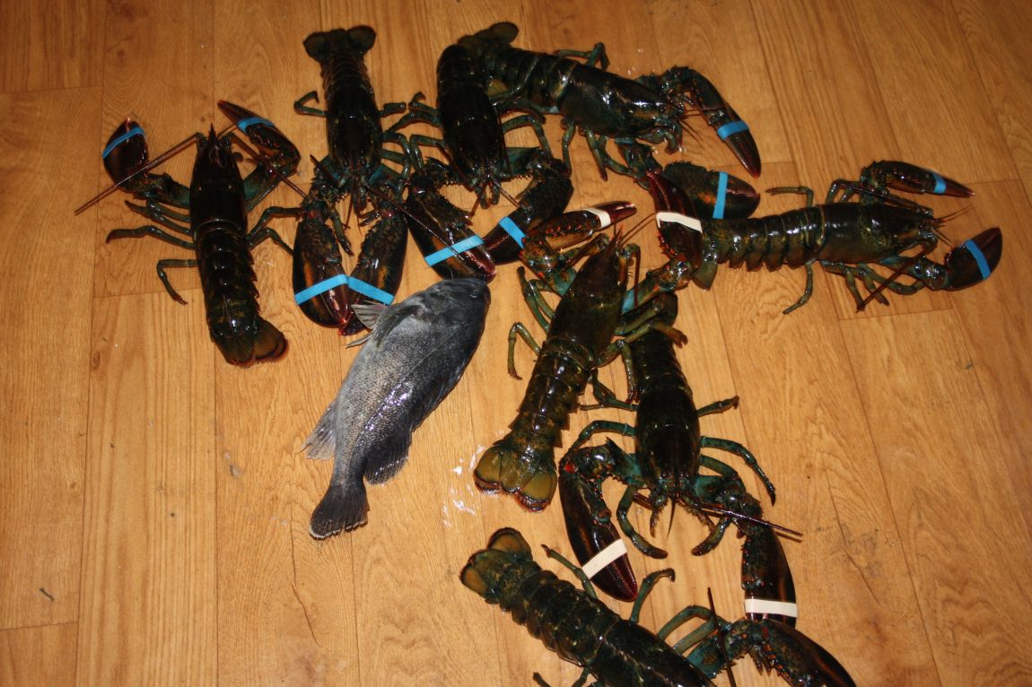 12��29�� 018.JPG