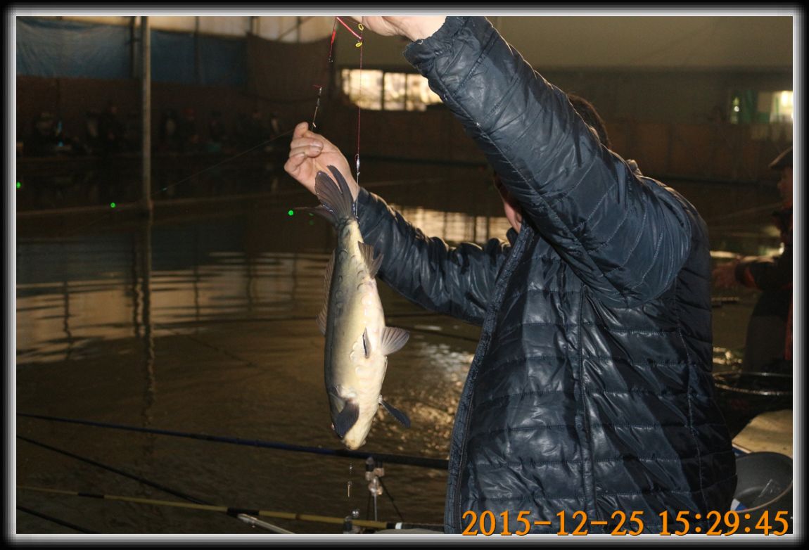 IMG_0066.jpg