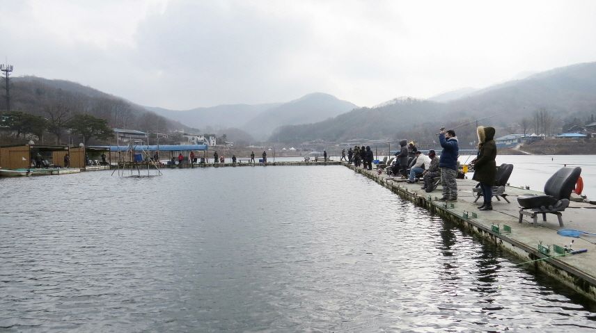 db곬ð(2016.01.02) 018.jpg