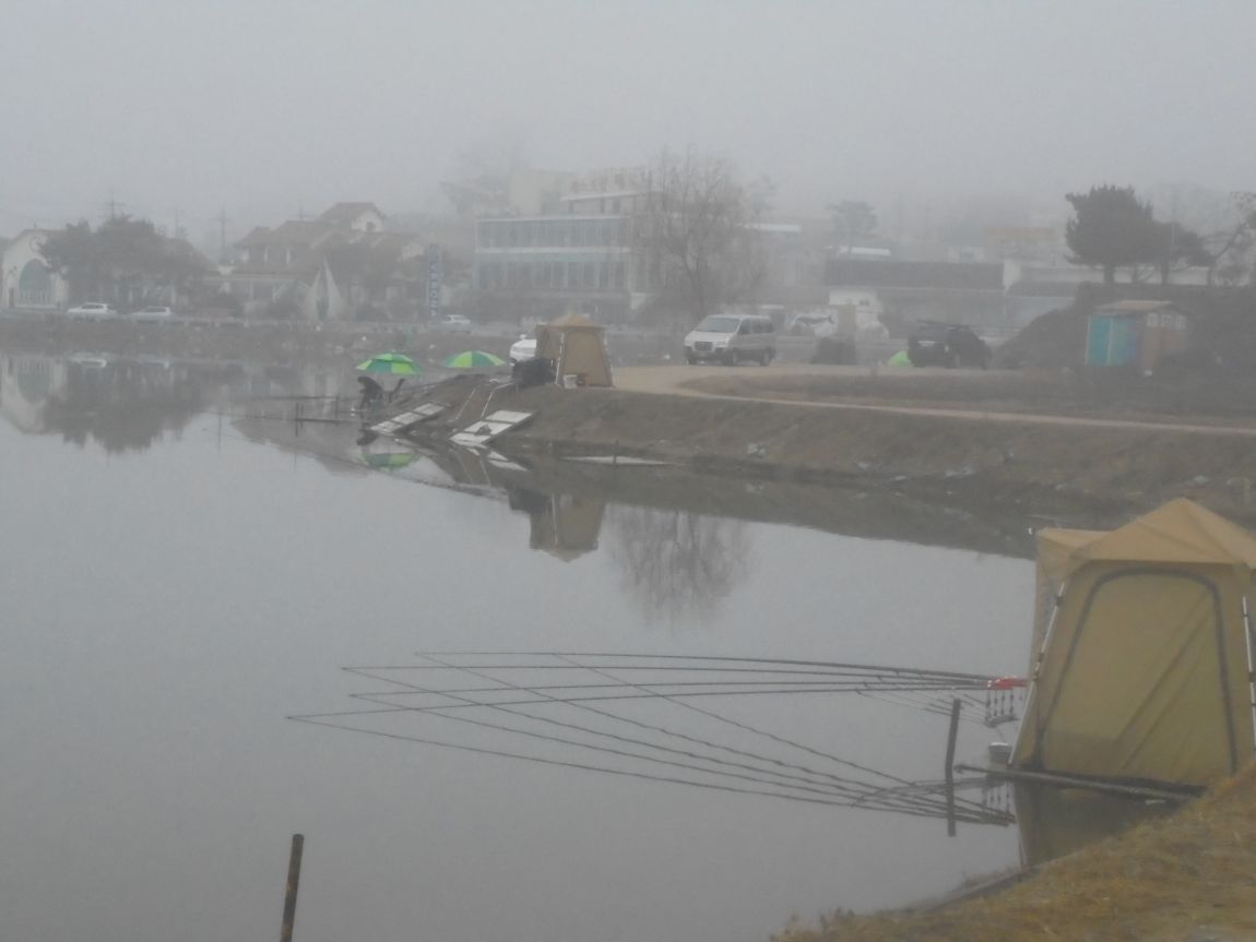 DSC01342.JPG