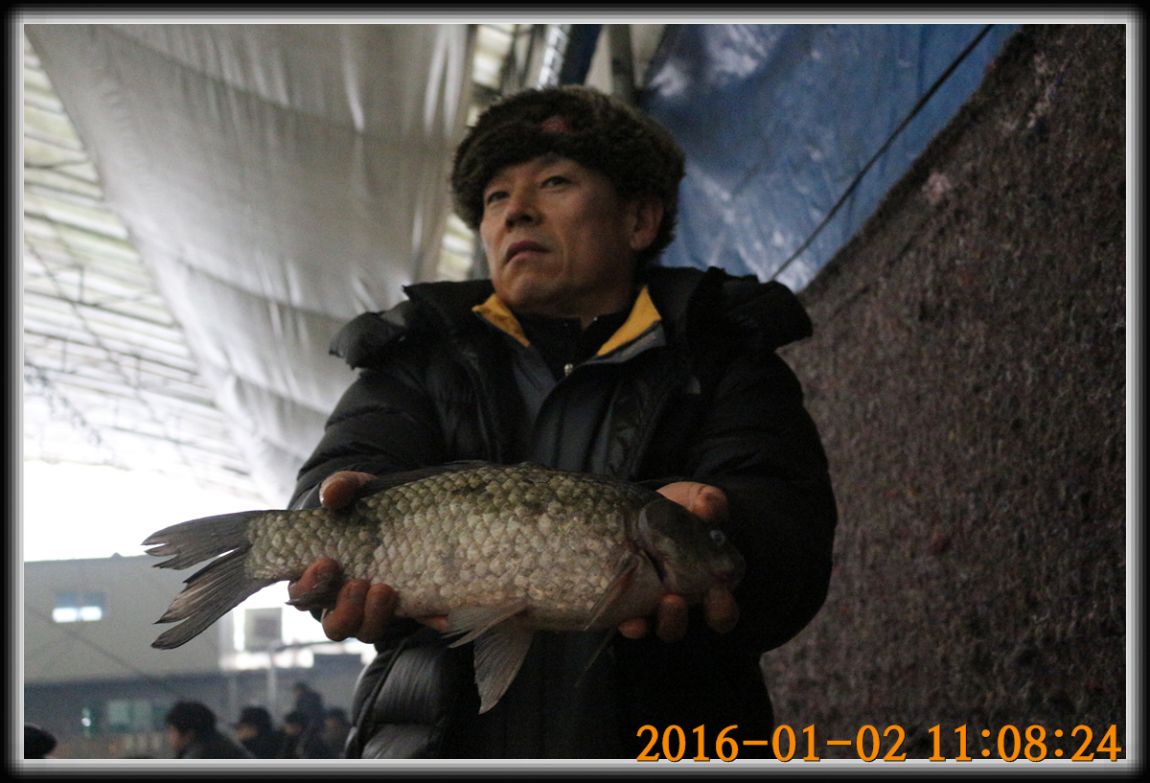 IMG_0070.jpg