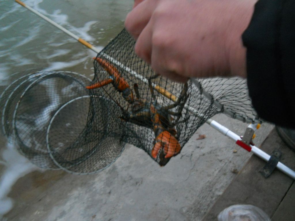 DSCN1006.JPG