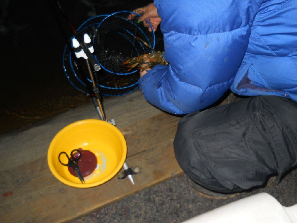 DSCN1005.JPG