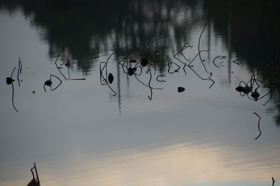 DSC00014.JPG