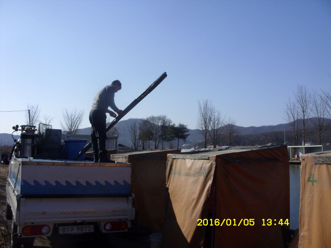 SDC15300.JPG