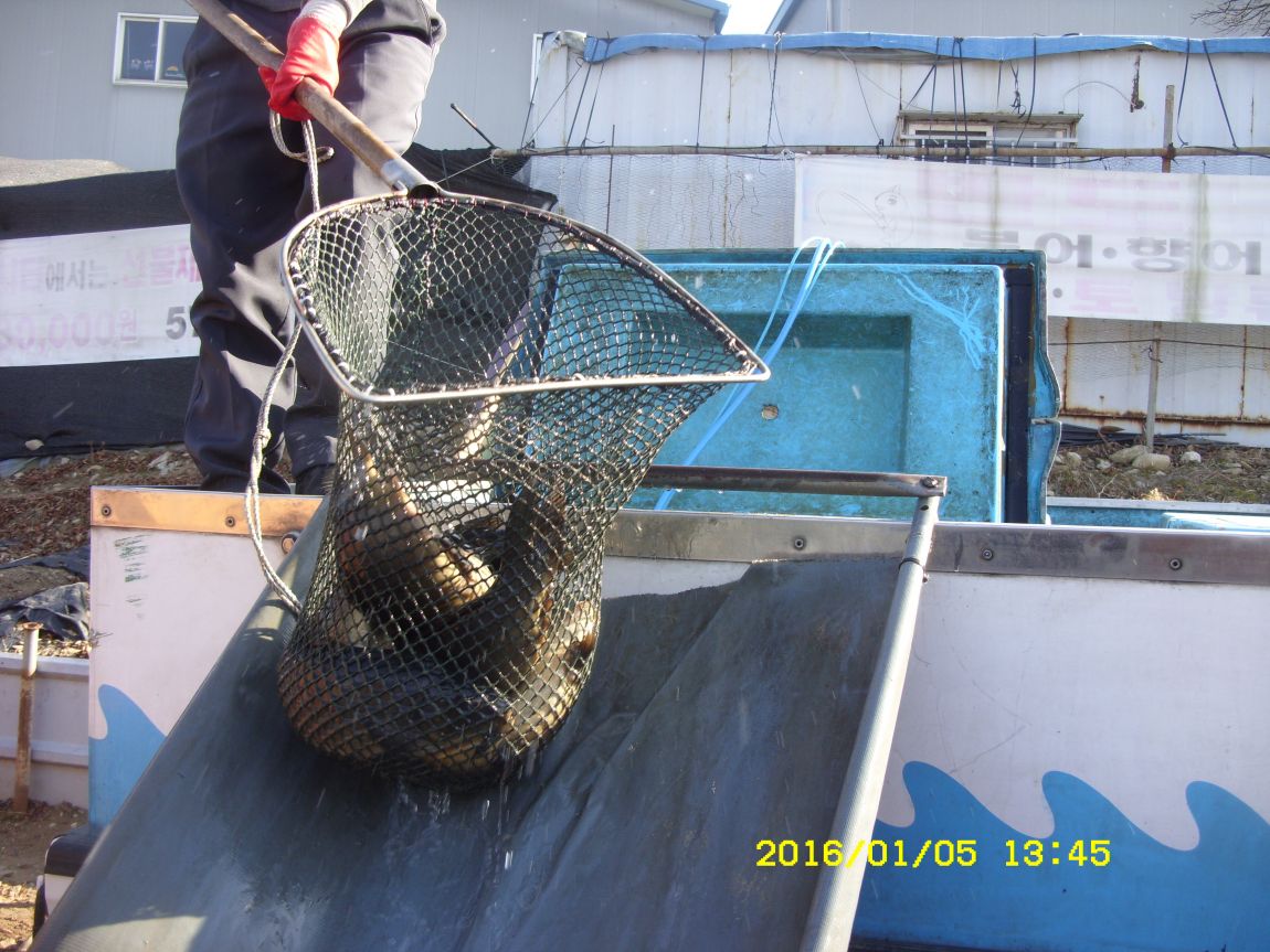 SDC15301.JPG